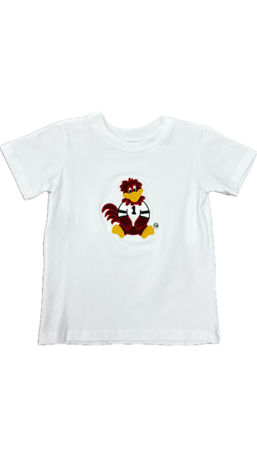 Boys Gamecock Applique' Shirt